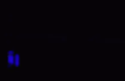 この時期になるとSmileAgain聞きたくなってSmileAgain歌ってるしゅんとくんがいつか消えていなくなっちゃうんじゃないかってくらい儚くなるけど大好きな曲😢 #befirst #シュント #しゅんと #SHUNTO @BE:FIRST Official 