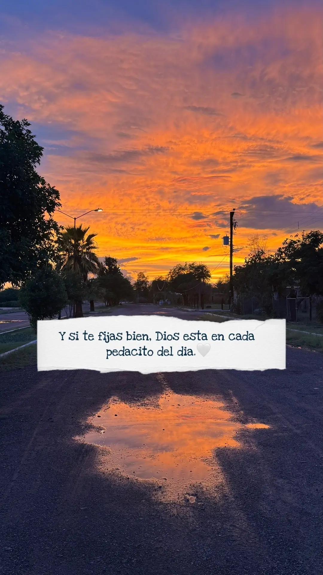 Bonito día🫶🏼   #buenosdiasseñordios #bendiciones #fyp #viral 