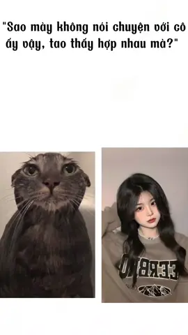 Hợp quá rồi còn gì 👽 #meme#fyp #funny #xuhuong #w 