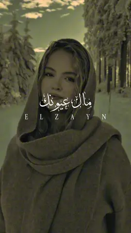 مال عيونك#ال_زين🖤 #foryou #fyp #fypシ #مال_عيونك 