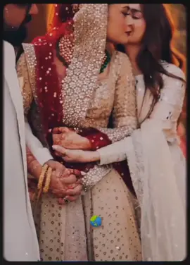 Repost request #foryou #sindhi #treding #song #viral❤️❤️😘😘 