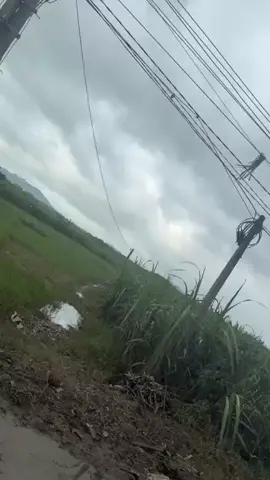 1 clip nữa về rác đu đỉnh trụ điện cho mọi người xem. coi thử có tin không?