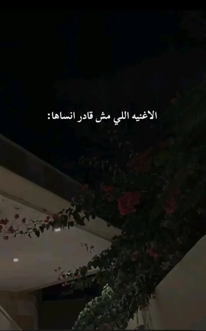 #🥺❤️‍🩹❤️‍🩹ــــــــــــــہہہـ٨ـــ٨ـ  #جروح_الصمت🥀🖤 