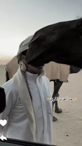 الله يسعدهم قد م يضحكون وغيرون فجوانا😭#فراج_قزيع_السهلي #fyp #foryou #viral #explore @فراج قزيع السهلي @أبو نـمـر 🐆 @عبدالعزيز المري 