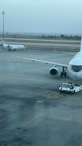 #مذهله #تصميم_فيديوهات🎶🎤🎬 #الملكيه_الاردنيه_للطيران #amman #مطار_الملكة_علياء_الدولي 