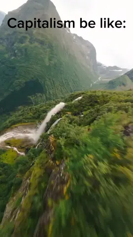 #eattherich #capitalism #politics #proletarian #money 