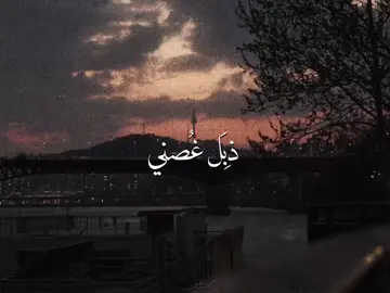 شَوكِت غِيمَك عَلية بمطرتَه ينَدي😢..؟                      #fyp #foryou #foryoupage #fyppppppppppppppppppppppp #tiktok 