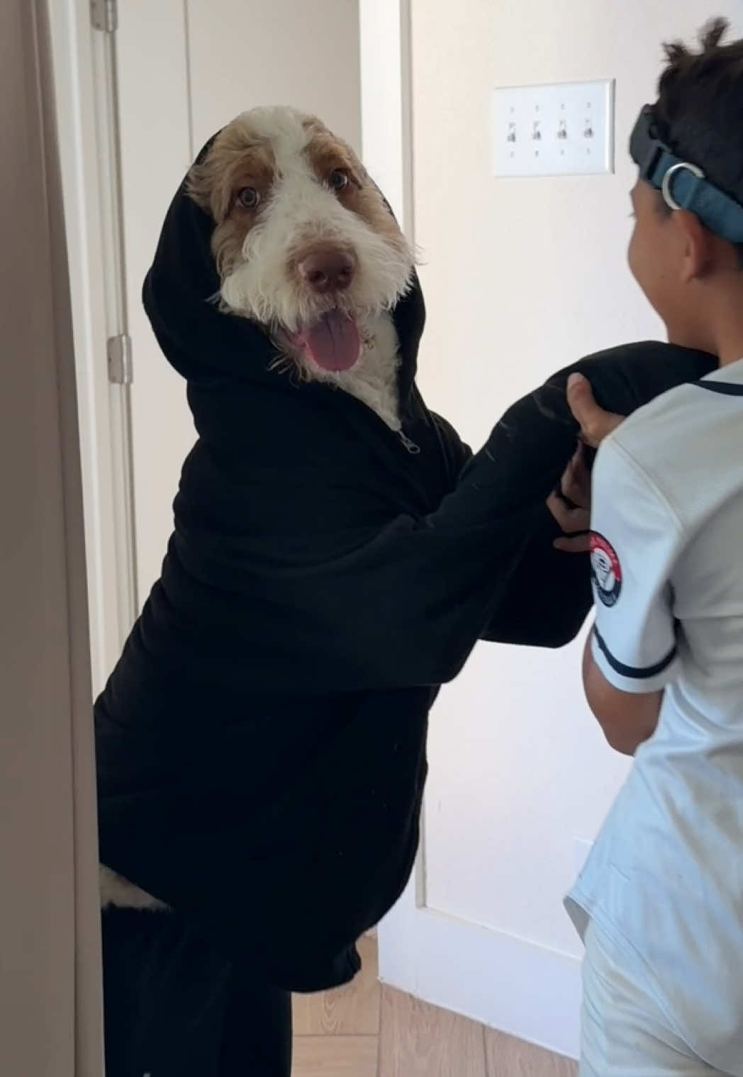 That’s my dawg… #mydog 