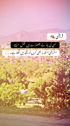 قریشی🙌🏻❤️‍🩹🫠۔ #CapCut #qureshi_hu_ywar1 #unfrezzmyaccount #newaccount #lines💔 