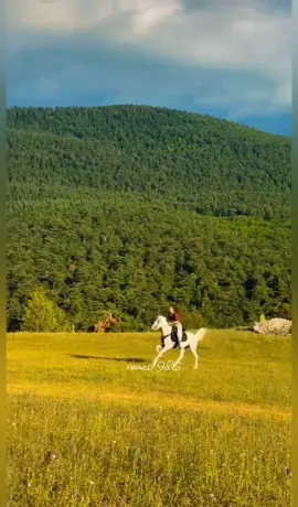 اهل العشق _ ديانا حداد _ 1997 قولولي كيف النوم لو طيفه هل وبدى كل يوم يباعد يوم خايف يطول المدى لاموني بكوا حمام الدوح ظلموني واني عزيز الروح # اغاني عربيه # تسعينات #العراق🇮🇶❤️ #روناس👑 #اكسبلور_تيك_توك🌹🎶🎵 