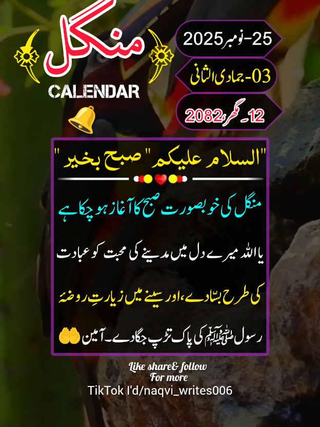 25-Nov-2025) TUESDAY MORNING💫STATUS💫NOTIFICATION🔔 REMINDER  #deartiktokteamdontunderviewmyvideos #status #viral #100klikes #tiktokpakistan
