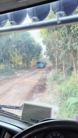 หล่อสุดๆ💚🌳#สวนลุงแพรพันธุ์ไม้ #สิงห์ไฮเทค #FF1j #ชะอมแก่งคอยสระบุรี 