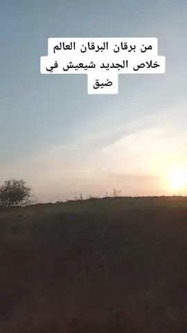 #بركان #الذكاءالاصطناعي #burkana # the catastride