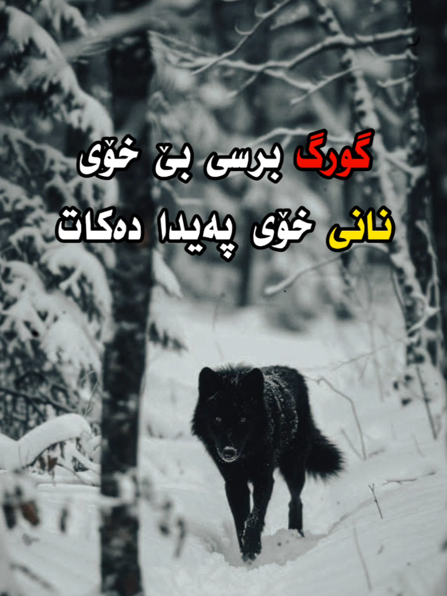 مەبەستم زەلامی ماستاوچی سەگ سفەتە نەک سەگو گورگ ! #کتێب #کوردستان_سلێمانی_کەرکوک_هەولیر #fyp #foryou #foryoupage 