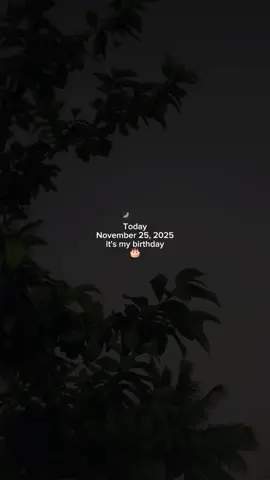 today November  25, it's my birthday #happybirthdaytome #itsmybirthday #capcut #capcutpioneer #pioneertemplate 