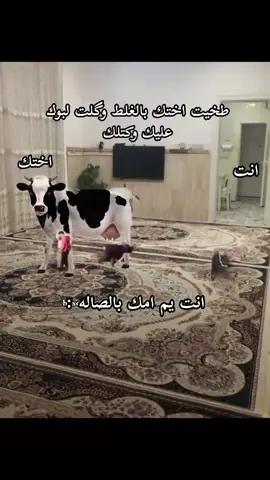 تريد تضحك ادخل للحساب 😂 #ميمز #رياكشن #رياكشنات #ميمز😂 #pov 