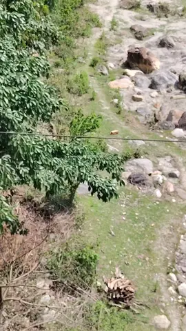 #LIVEIncentiveProgram #SpareMomentsLIVE #PaidPartnership 