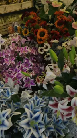 literally the prettiest flower ever 🩷