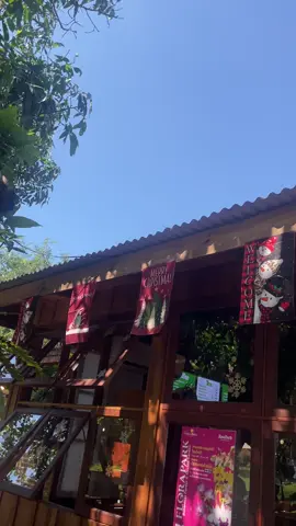 #คริสมาส #สตอรี่ความรู้สึก #เที่ยว 