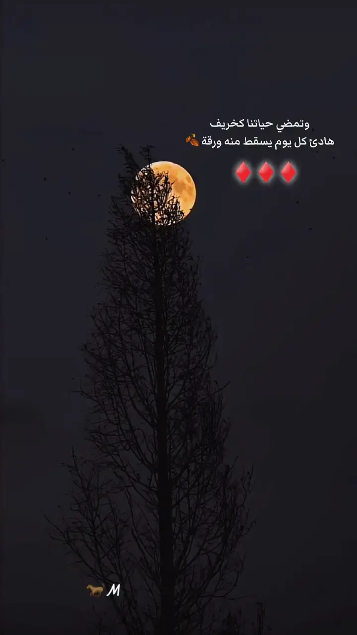 #اكسبلورexplore❥🕊 #اكسبلورexplore #عباراتكم_الفخمه📿📌 