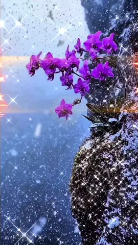 Ai.Pr1🎶지울수 없는 그대🌹제작:꽃사슴뽕짝Ai🍀