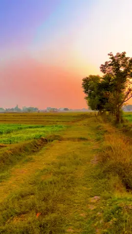 #pindawale #پنڈاں_والے #ساڈا_پنجاب #foryou #1millionviews 