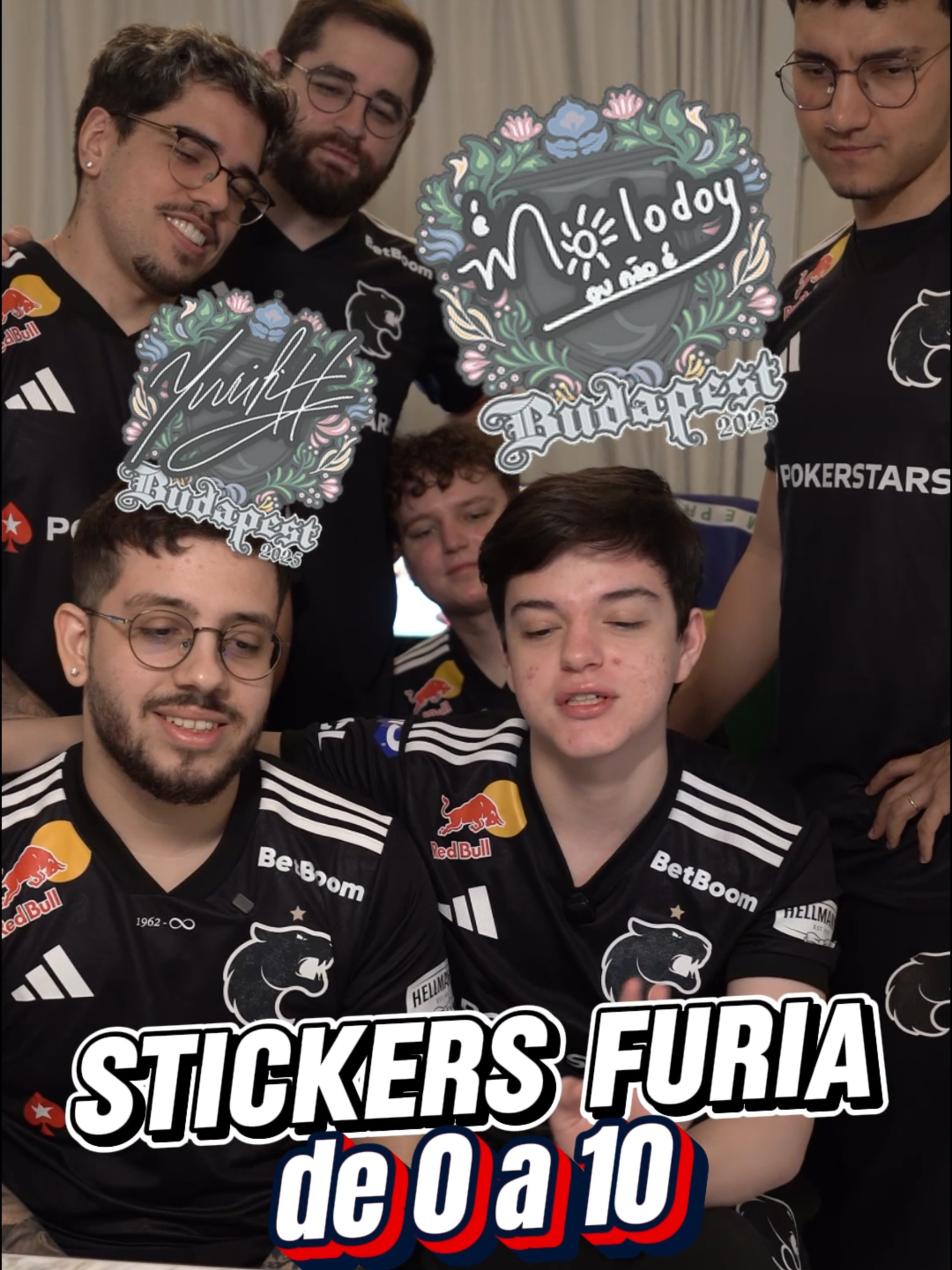 Notas para os stickers? #furiacs #cs2 #csbrasil