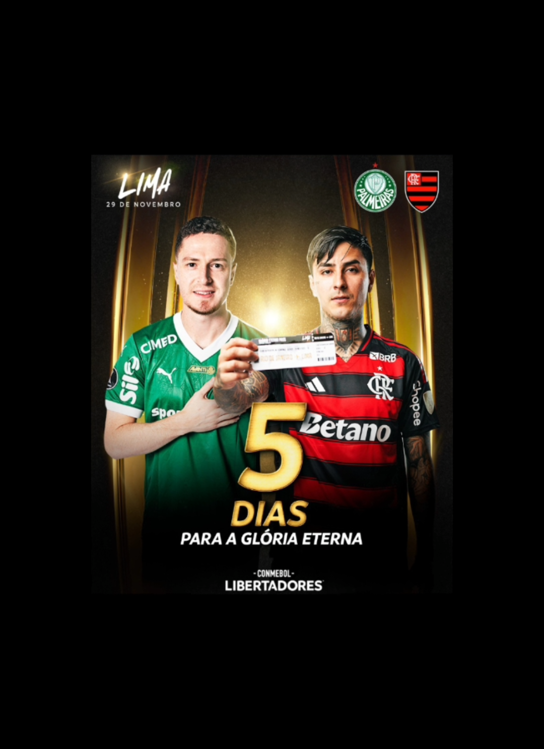 5 dias pra decisão. #palmeiras #flamengo #libertadores #fyp 
