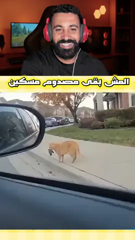 #الشعب_الصيني_ماله_حل😂😂 #ضحك #ضحك_وناسة #ضحك😂 #ضحك_طقطقه_فله_وناسه 