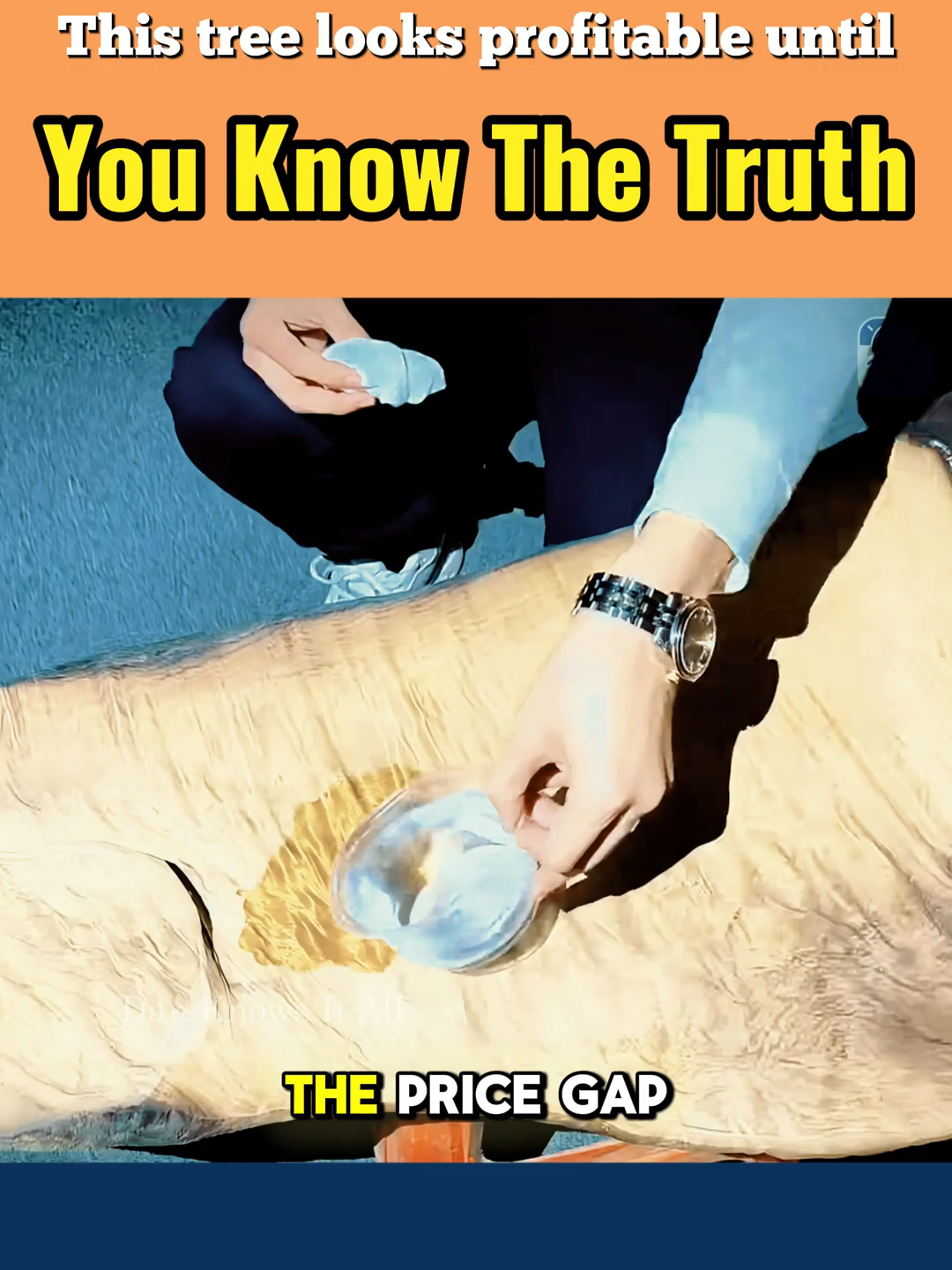 This tree looks profitable until you know the truth #fyp