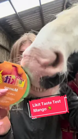 Part 5 | Mango @Likit Products 🥭 7/10 from me and 7.5/10 from spirit🫶🏼🥭 What flavour is next 👀🎄🎅🏼? #fypviral #likit #horse #horsetreats #equestrian 