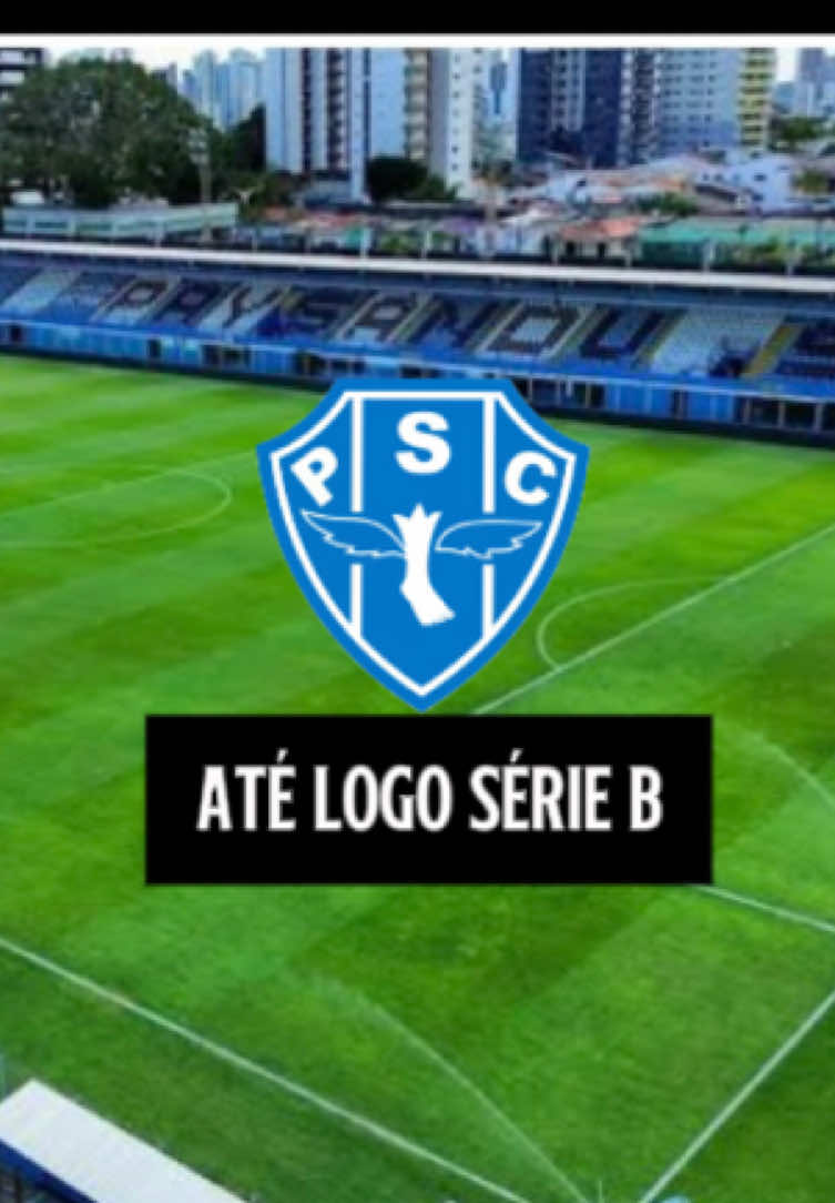 O sofrimento acabou , até logo série b 😞 #paysandu #serieb #futebol #meme #belemdopará 