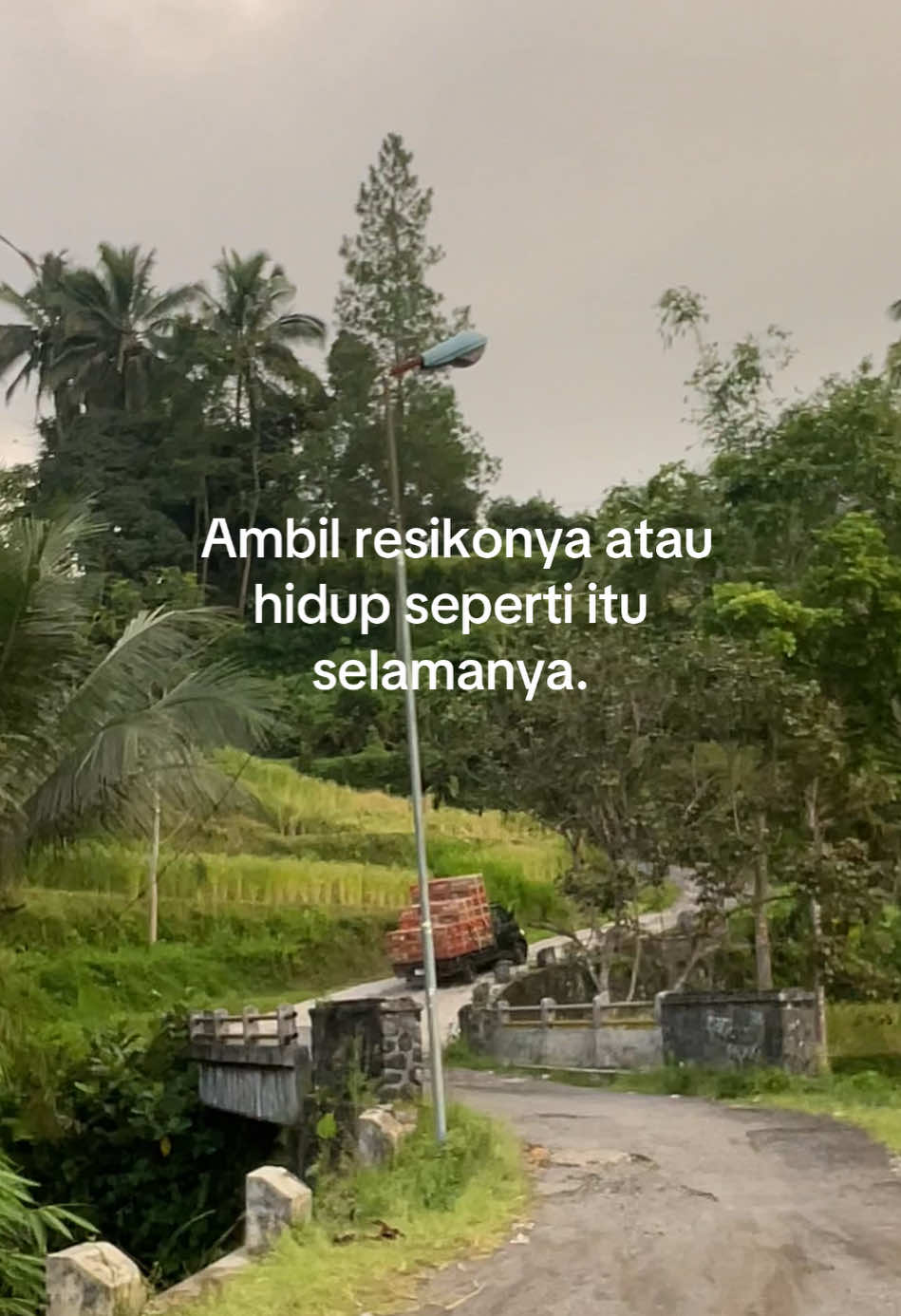 Semangat pejuang rupiah✊#kurirayam #ayampotong #masukberandafyp #fypage #fyp 