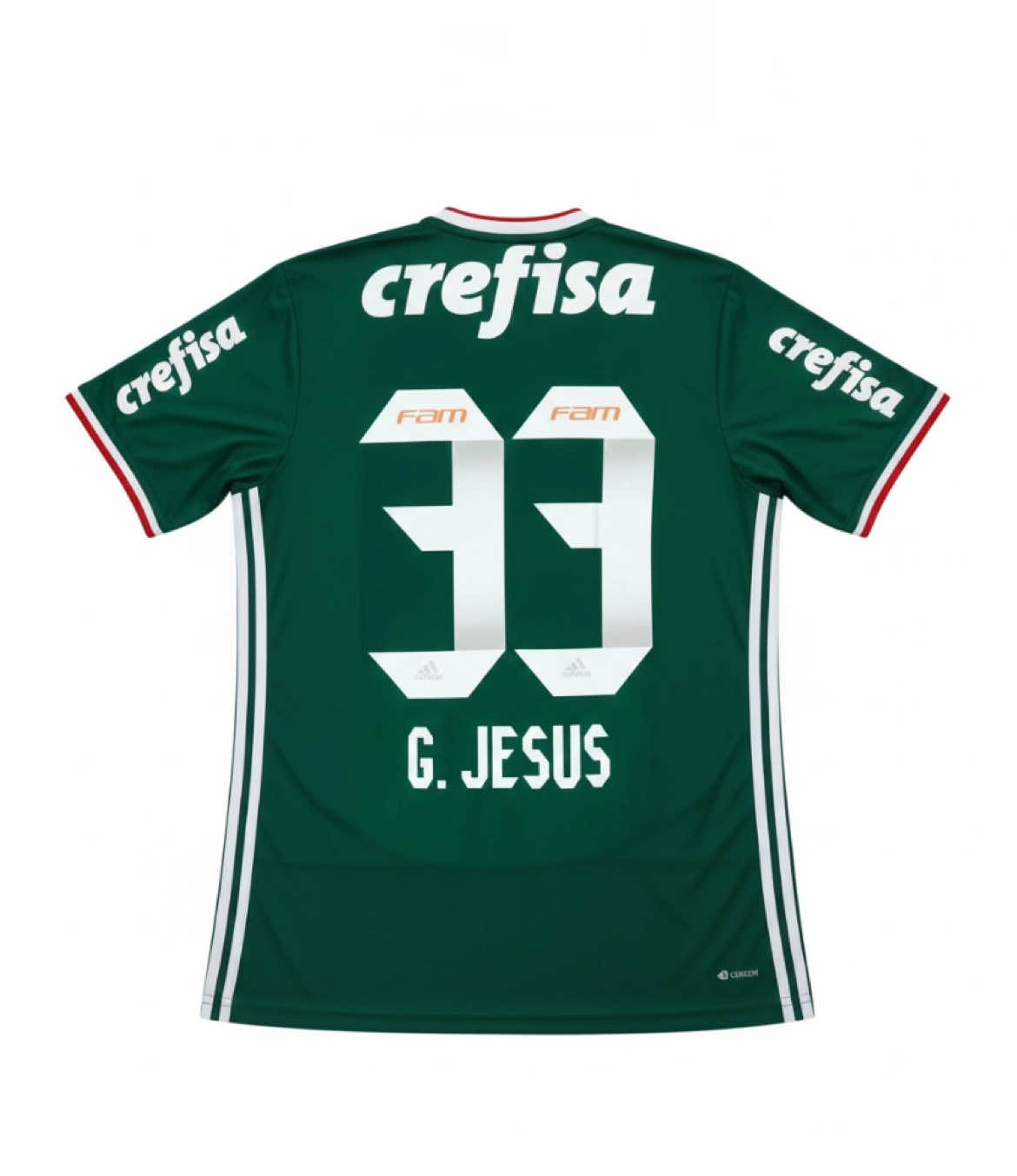 #gabrieljesus #palmeiras #targetaudience #paravoce  
