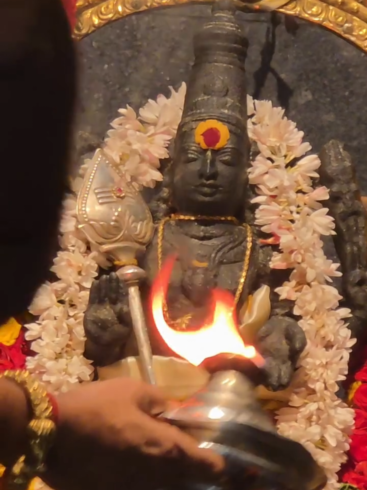 🌸🌸🌼🌼🌸🌸🙏🙏🌸🌼🪷