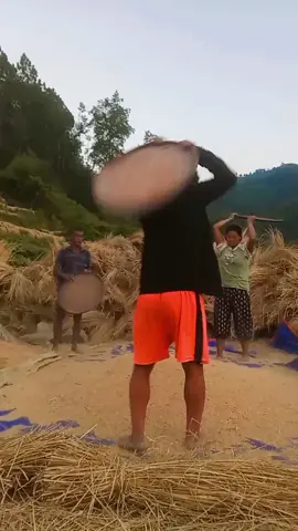 गाउँले जीवन.............