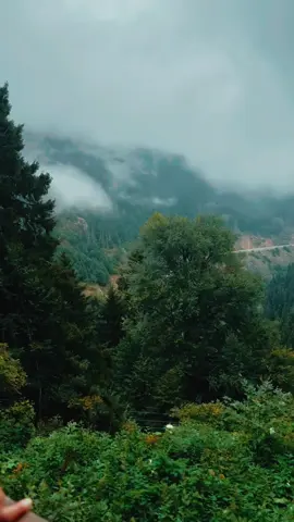 #educatoraward #دعاء #اللهم_صلي_على_نبينا_محمد #اللهم #مشاهدات 