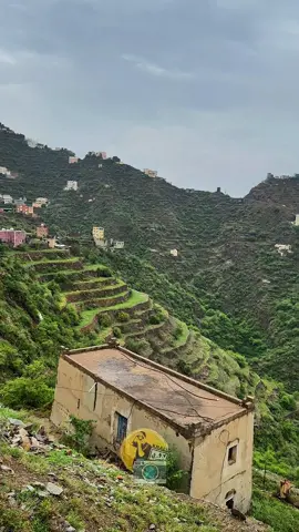 الداير بني مالك #creatorsearchinsights #فيفاء_الجنوب_السعوديه #الداير_بني_مالك #تصويري #تصويري_احترافي_الاجواء👌🏻🕊😴 