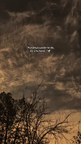 “Kûrahiya çavên te de, Ez û tu hene..”🕊️🌹 #meralsimsekk1 #storylikşarkılar #storylikvideolar #fyppp 