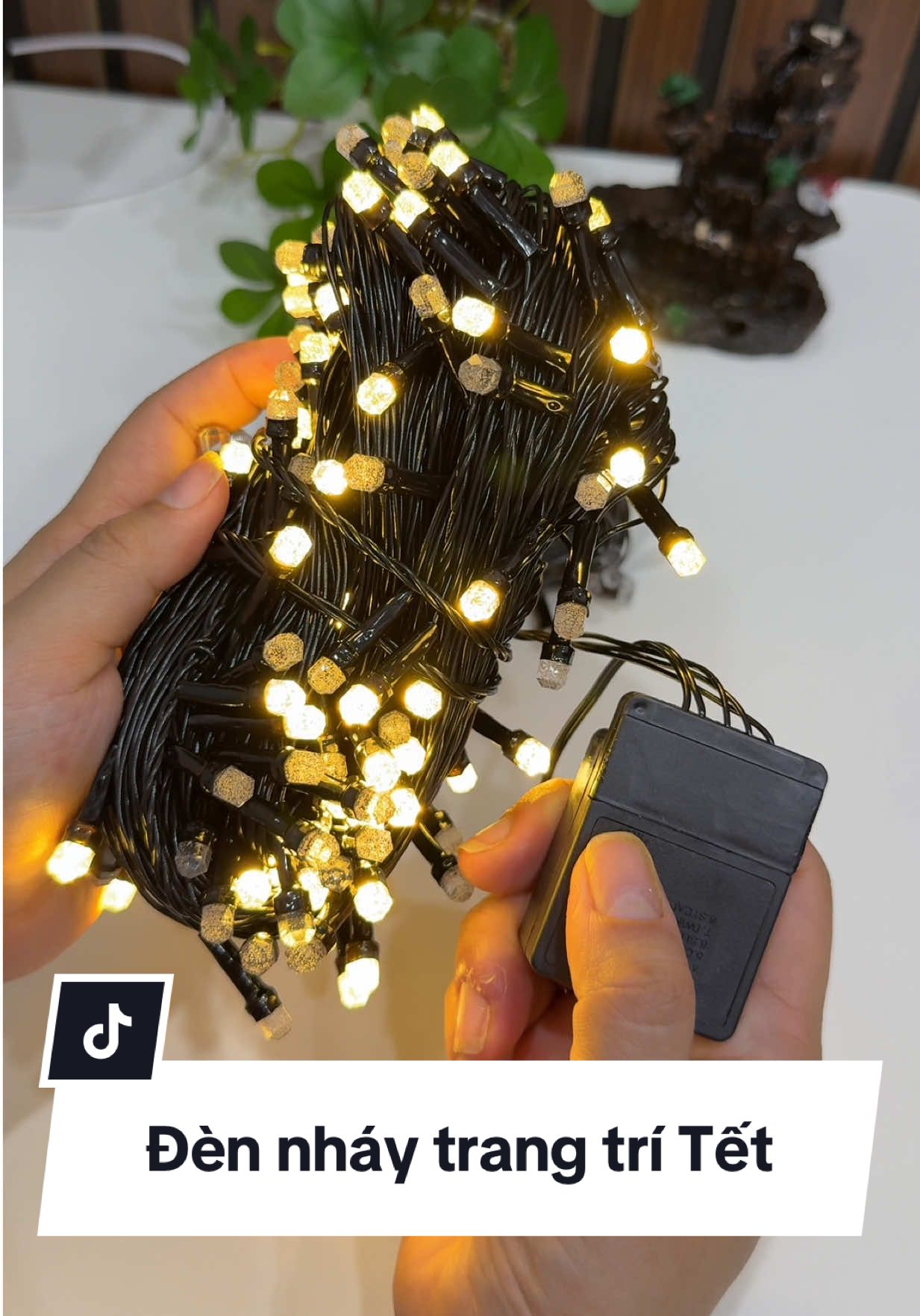 1 cuộn dài tận 40m mà nay shop trợ giá có 70k #dennhaytrangtri #dennhaytrangtritet #dennhay40m 