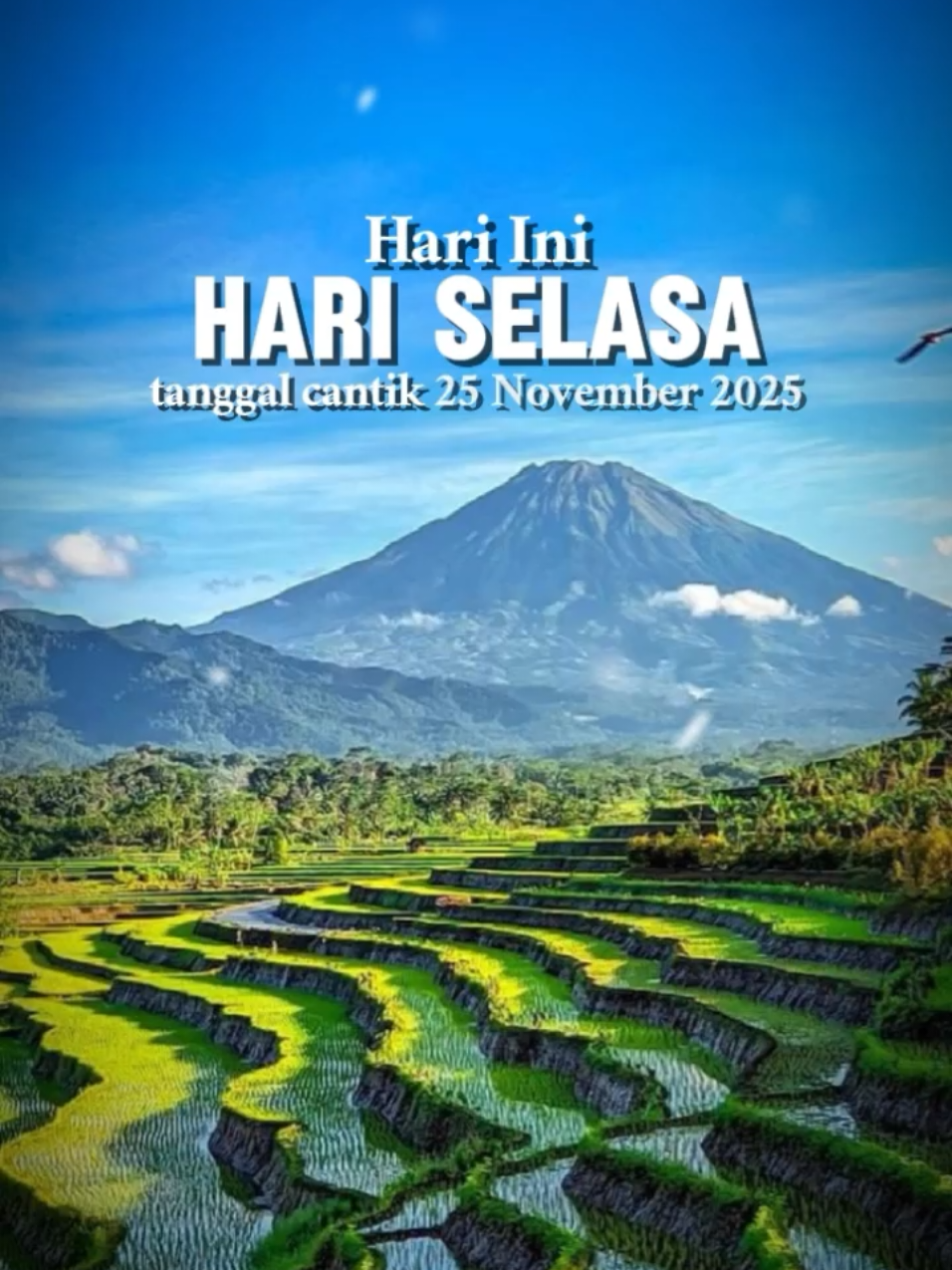 selasa hari guru #CapCut #pioneertemplate #capcutpioneer #fyp #promomakanharian 