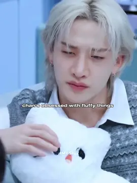 The white cat looks like jiniret 🥹 @ᴋᴀᴛʏ ʙᴀʀᴋs ғᴏʀ ᴄʜᴀɴ 💋  #bangchan #방찬 #bangchanedit #bangchanstraykids #bangchanskz 