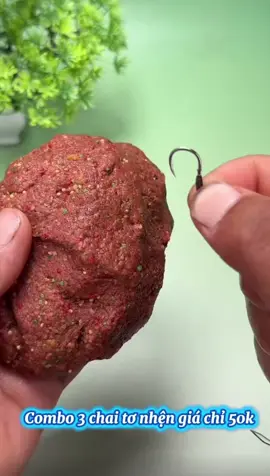 Combo ba chai tơ nhện giá 50 cành #cauca #caucatunhien #fishing #xh 