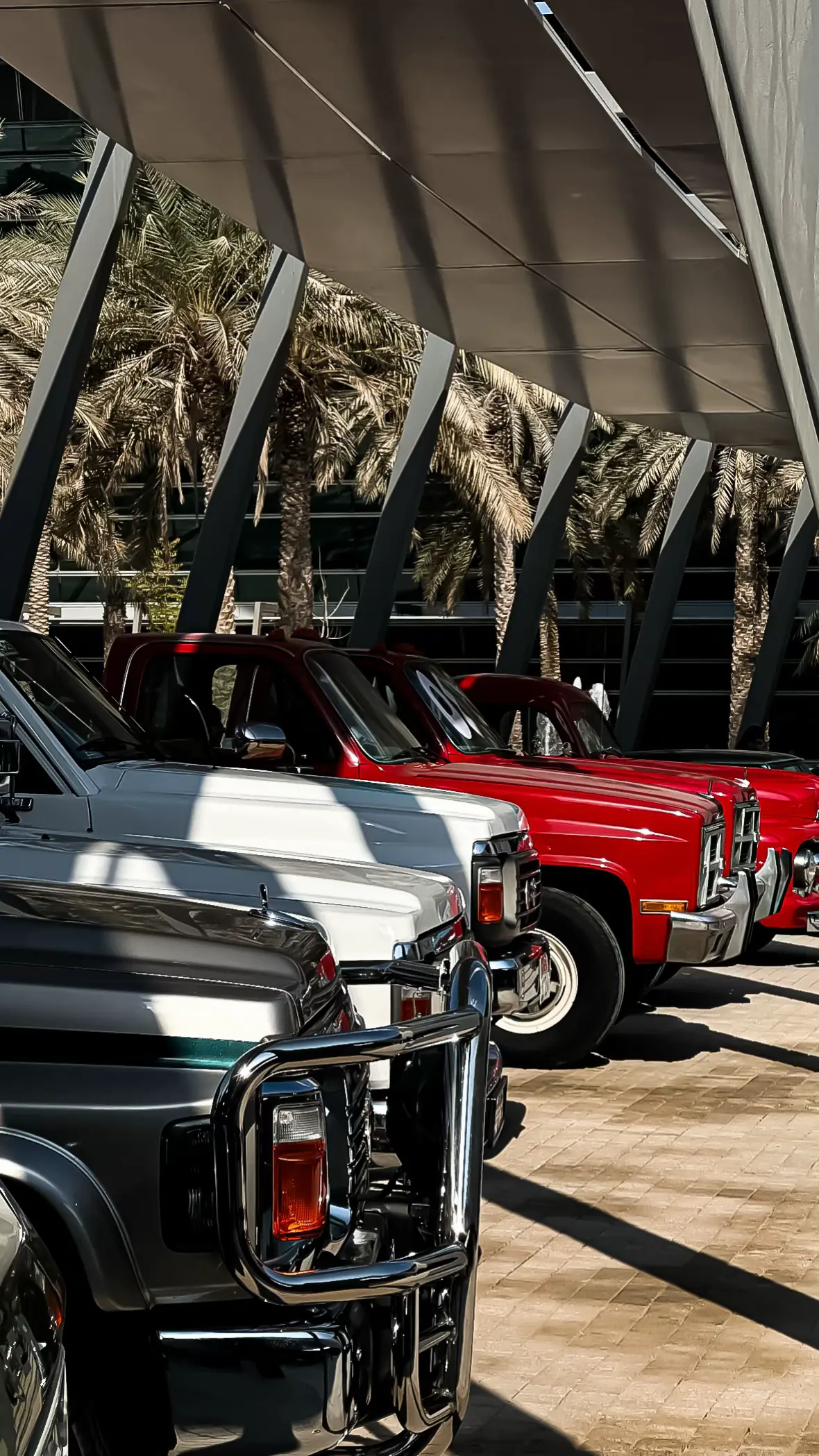 #zayeduniversity #uae #nationaldayuae🇦🇪 