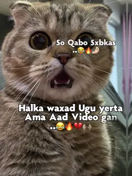 Like saar😂😂🔥#meliss😍🙌🏻 #fyppppppppppppppppppppppp #viralvideos #funnyvideos #foryoupage 