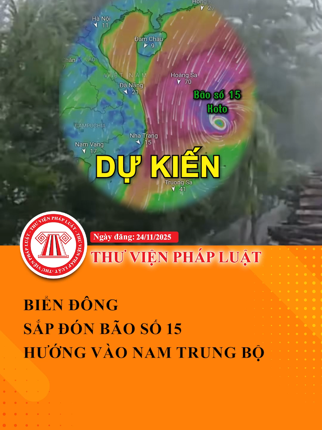 Biển Đông sắp đón bão số 15, dự kiến hướng vào Nam Trung Bộ #ThuVienPhapLuat #LearnOnTikTok #Hocungtiktok #TVPL