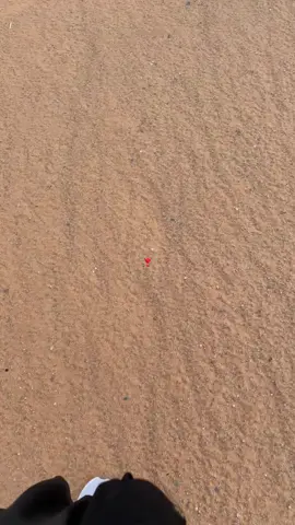 #الشتاء #بر #الرياض #القصيم #حايل 