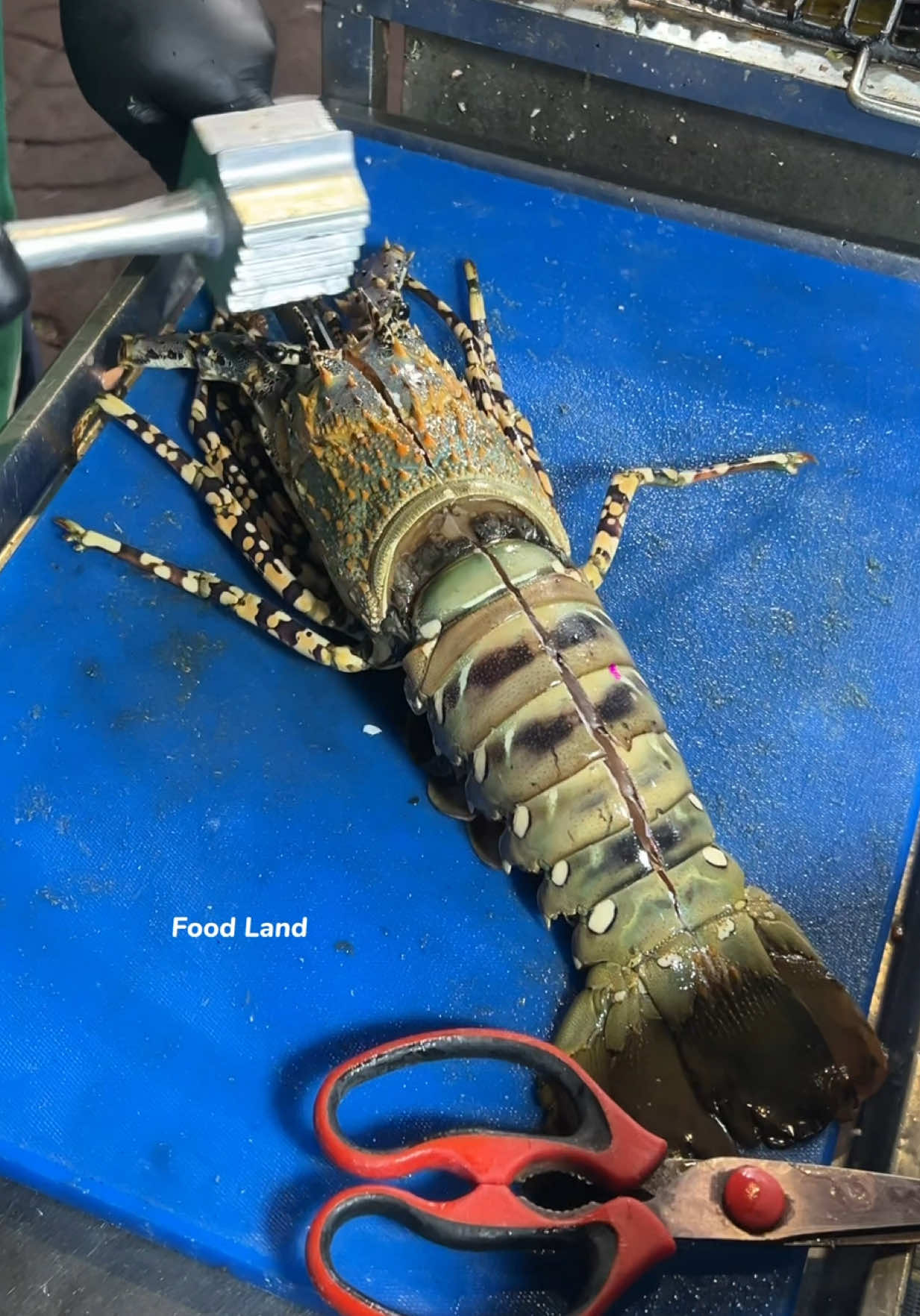 A famous seafood delight in Chinatown!  . Shop name: Fikeaw Yao Wa-Rat 📍Location: Yaowarat, China Town Bangkok, Thailand #asmr #foodland #fruit 