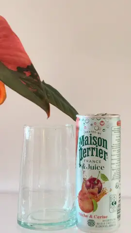 À la base, je voulais juste quelque chose de frais pour la journée… et je suis tombée sur le Perrier cerise–pêche. 🍒🍑 J’ouvre la canette, je goûte… et là surprise : c’est super léger, ça pétille juste comme j’aime, et le petit goût fruité il reste en bouche mais sans être écoeurant. Je m’attendais pas à aimer autant, mais franchement… nouvelle boisson validée ! @Maison Perrier France  #perrier #drinkreview #boissonfraiche #nouveaute #peachvibes 