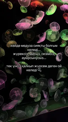 #elbruso #rge #fyp #рекомендации 